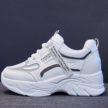 SH378 - Korean Spring Chunky Fashion Shoes